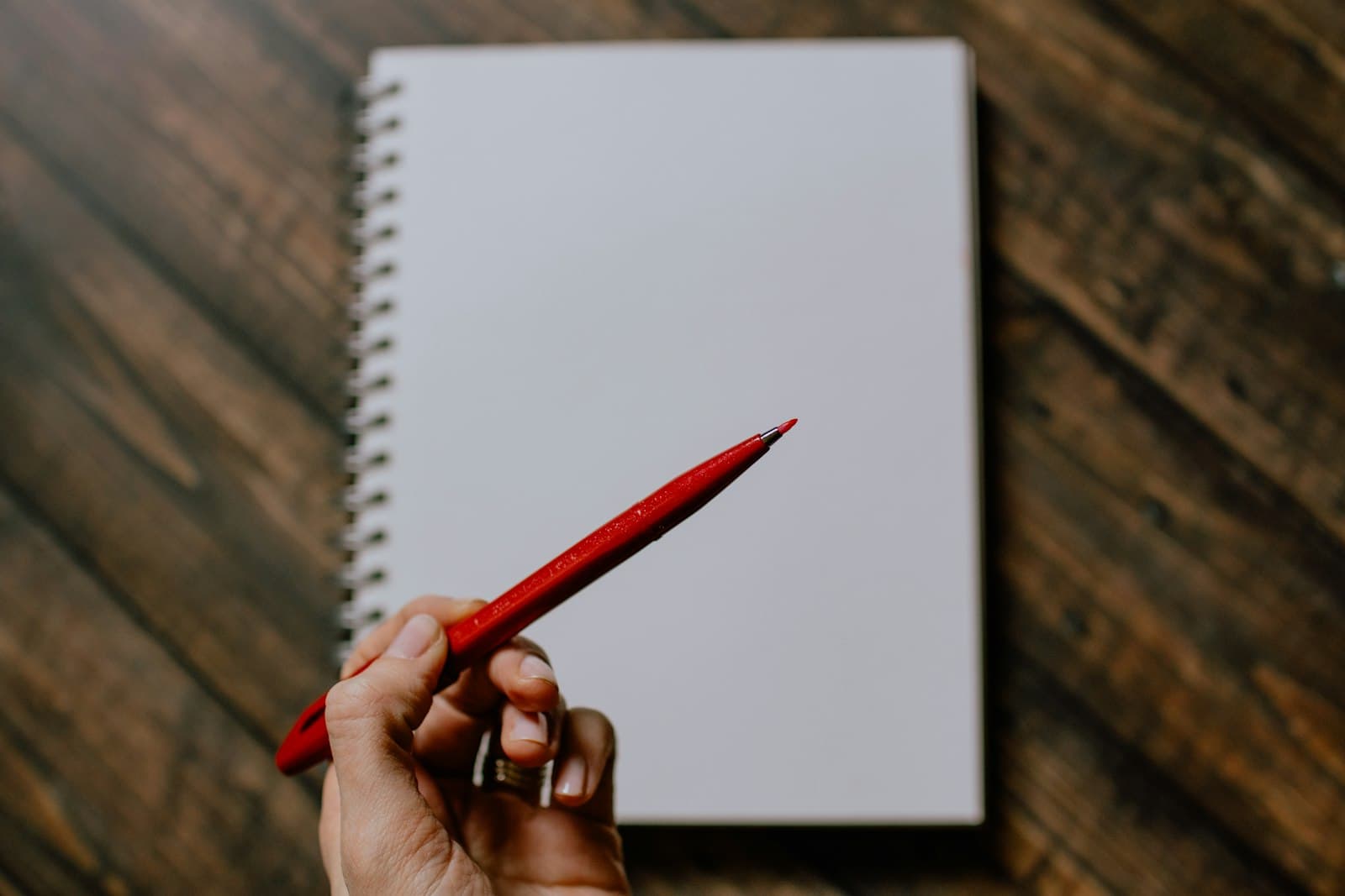 A marked-up page showing careful academic editing and reference-ready writing.