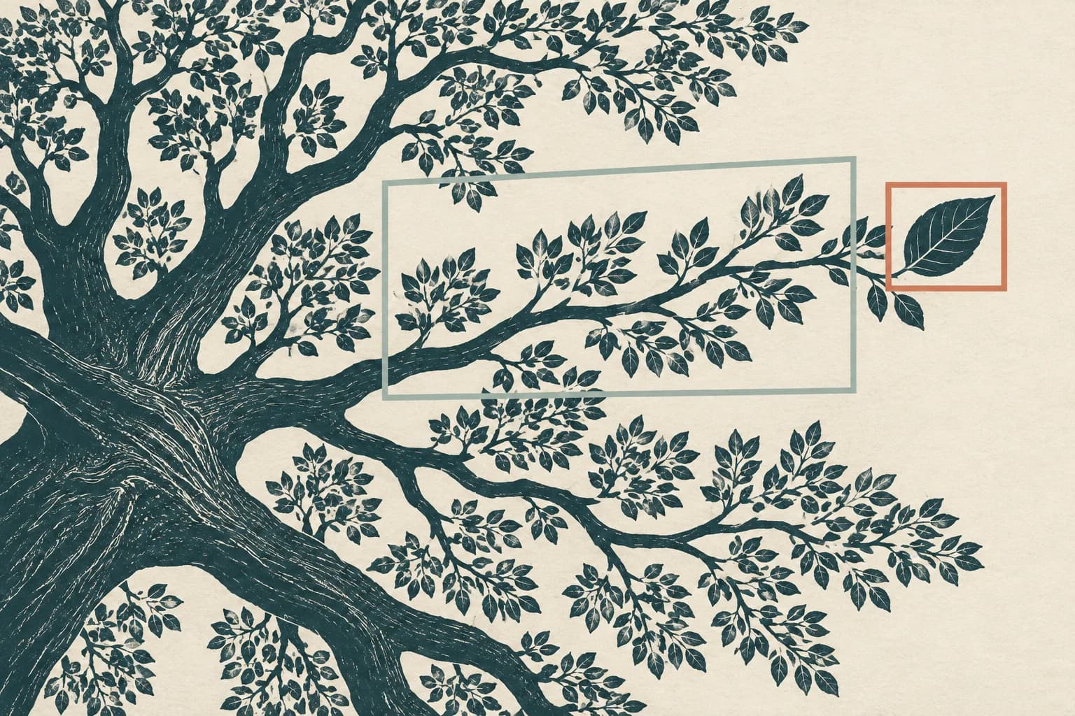 Two viewfinders isolate a branch and then a leaf within a broad tree canopy.