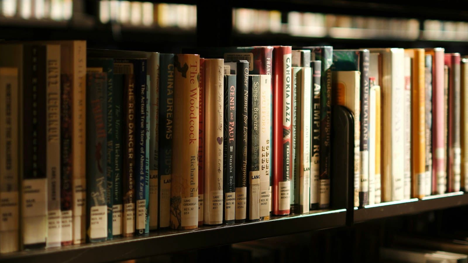 Rows of books in the Toronto Reference Library, photographed by Dmitry Spravko.